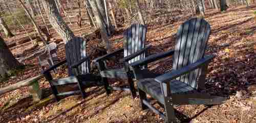 Traditional Adirondack Chair photo review