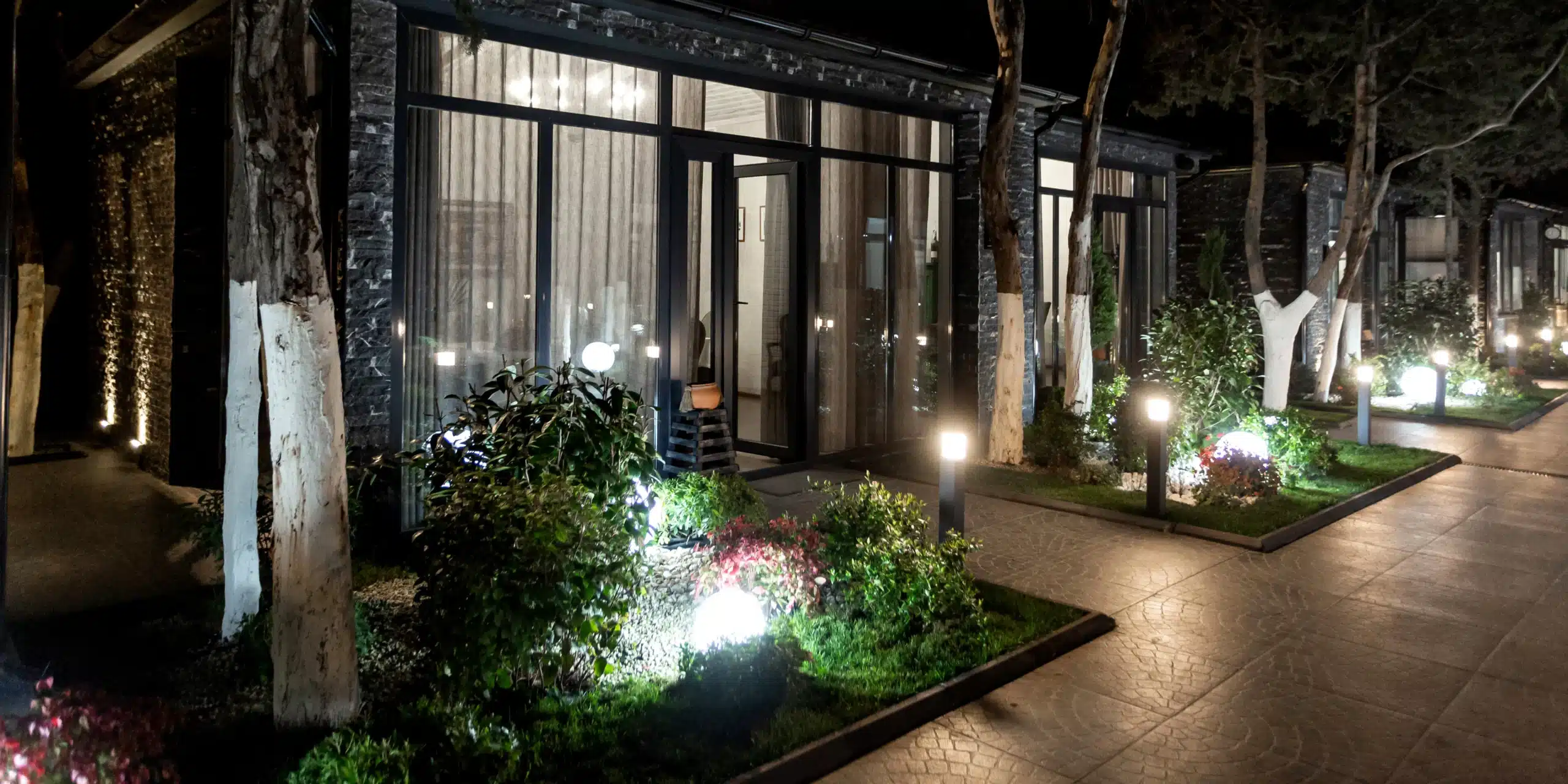 plant-lights