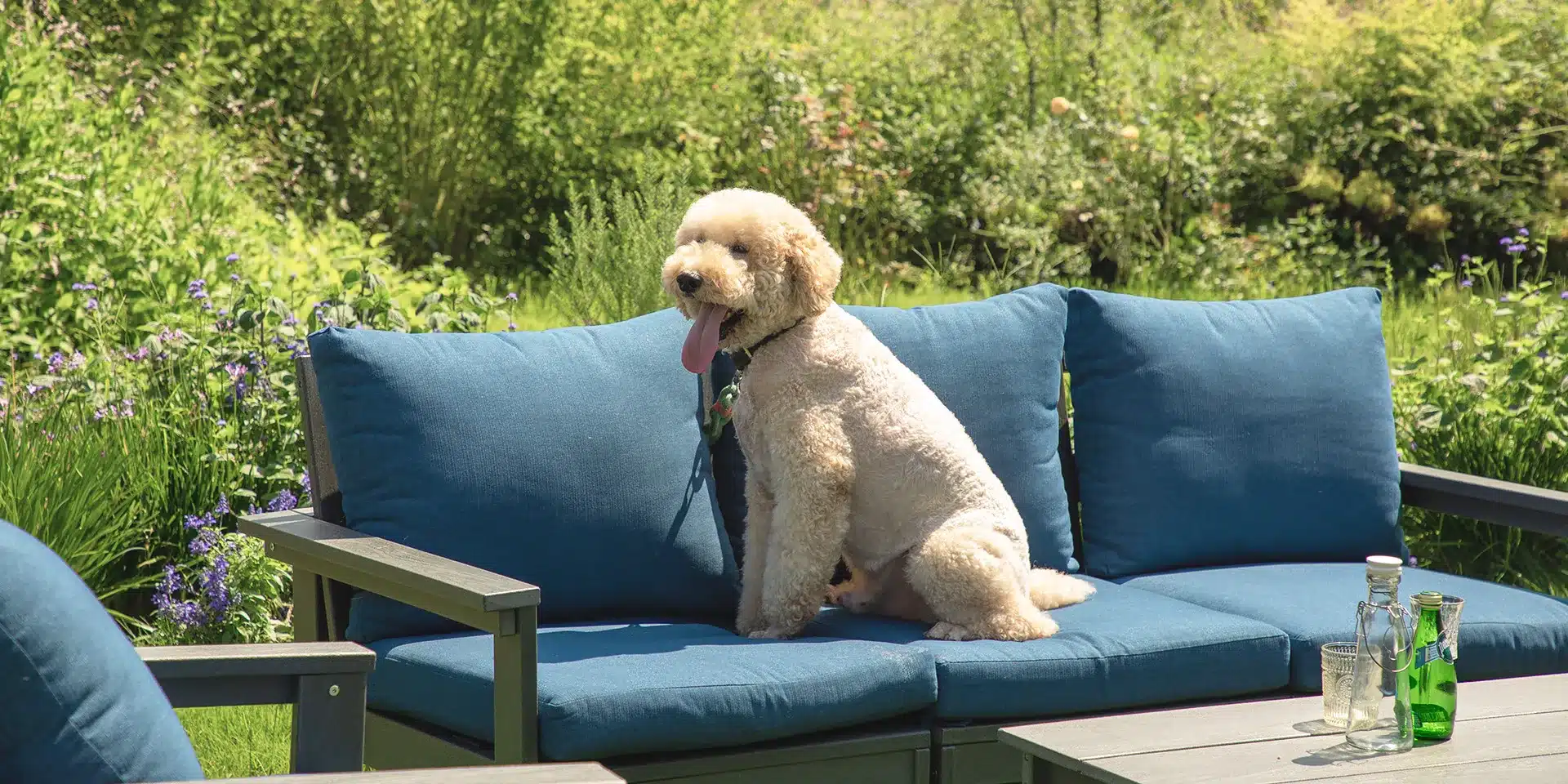 Pet-Friendly Outdoor Sofa Sets