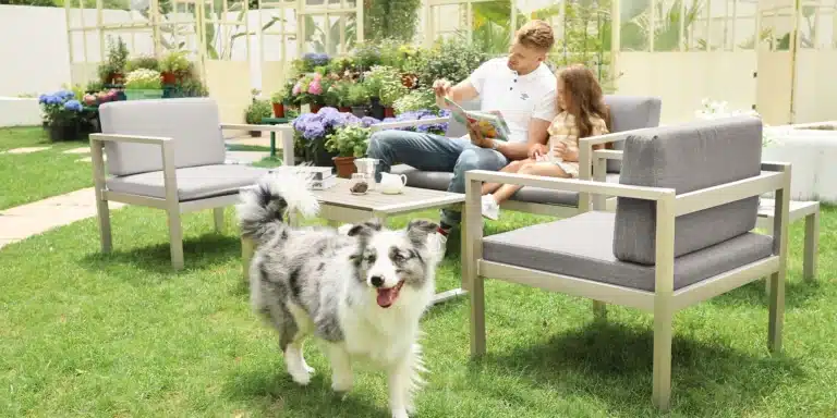 Summer Outdoor Space