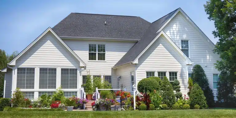 4 Best Outdoor Low Maintenance Plants​ for Backyard