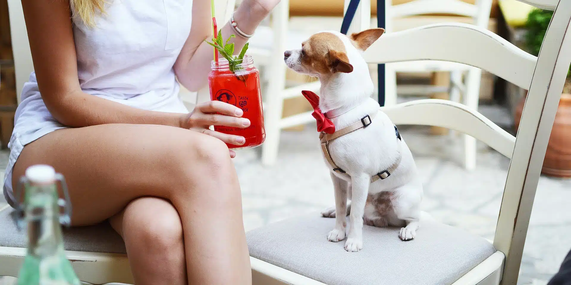 pet