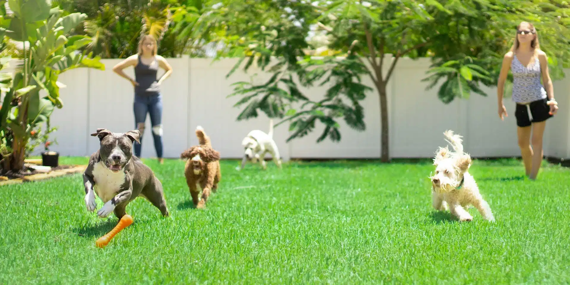 13 Outdoor Safety Tips for Kids and Pets