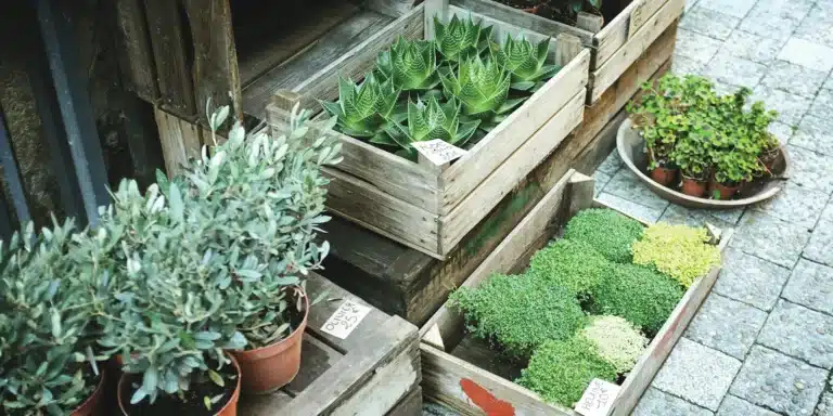 Patio Planter Boxes