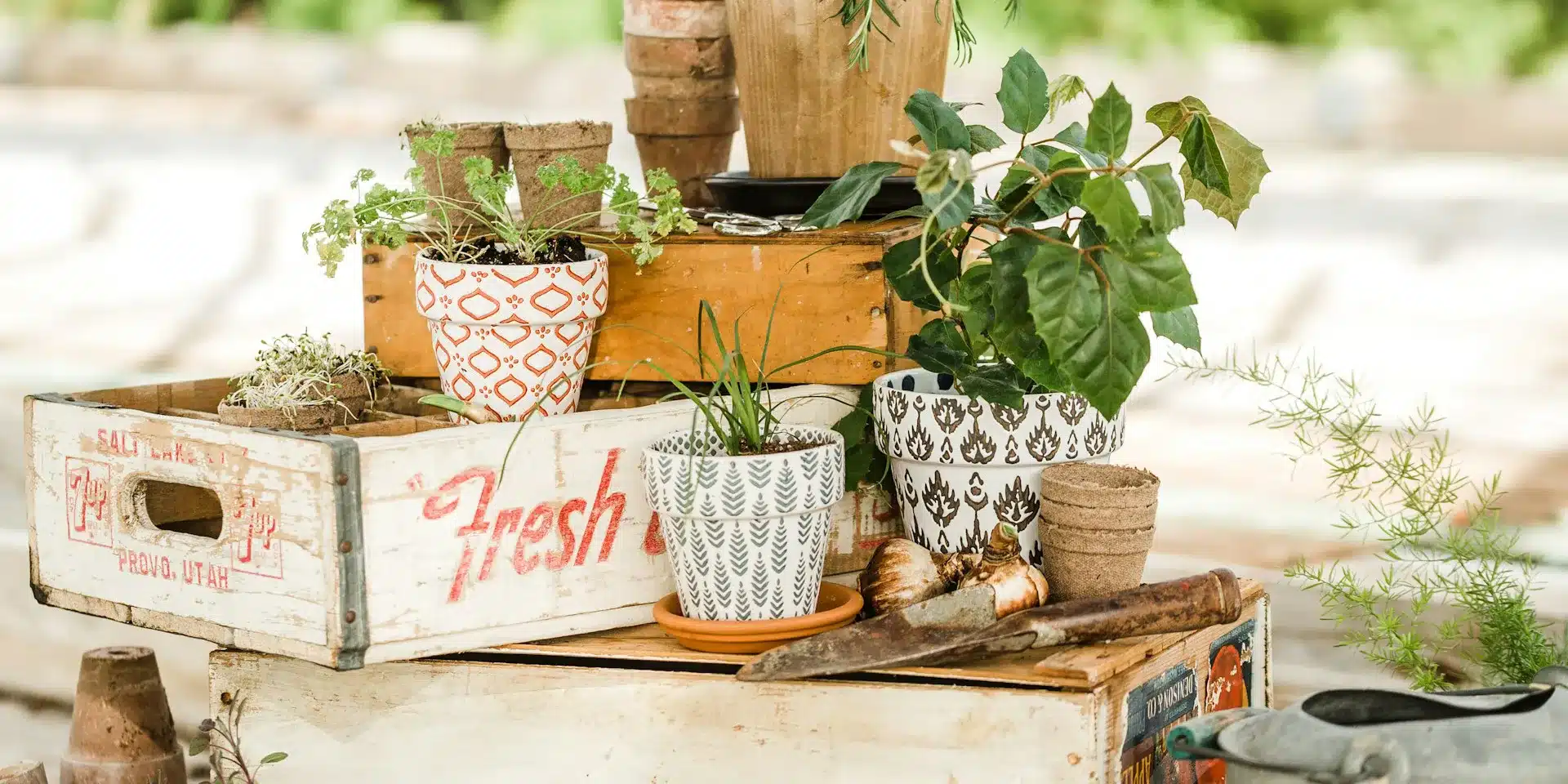 decorate planter box