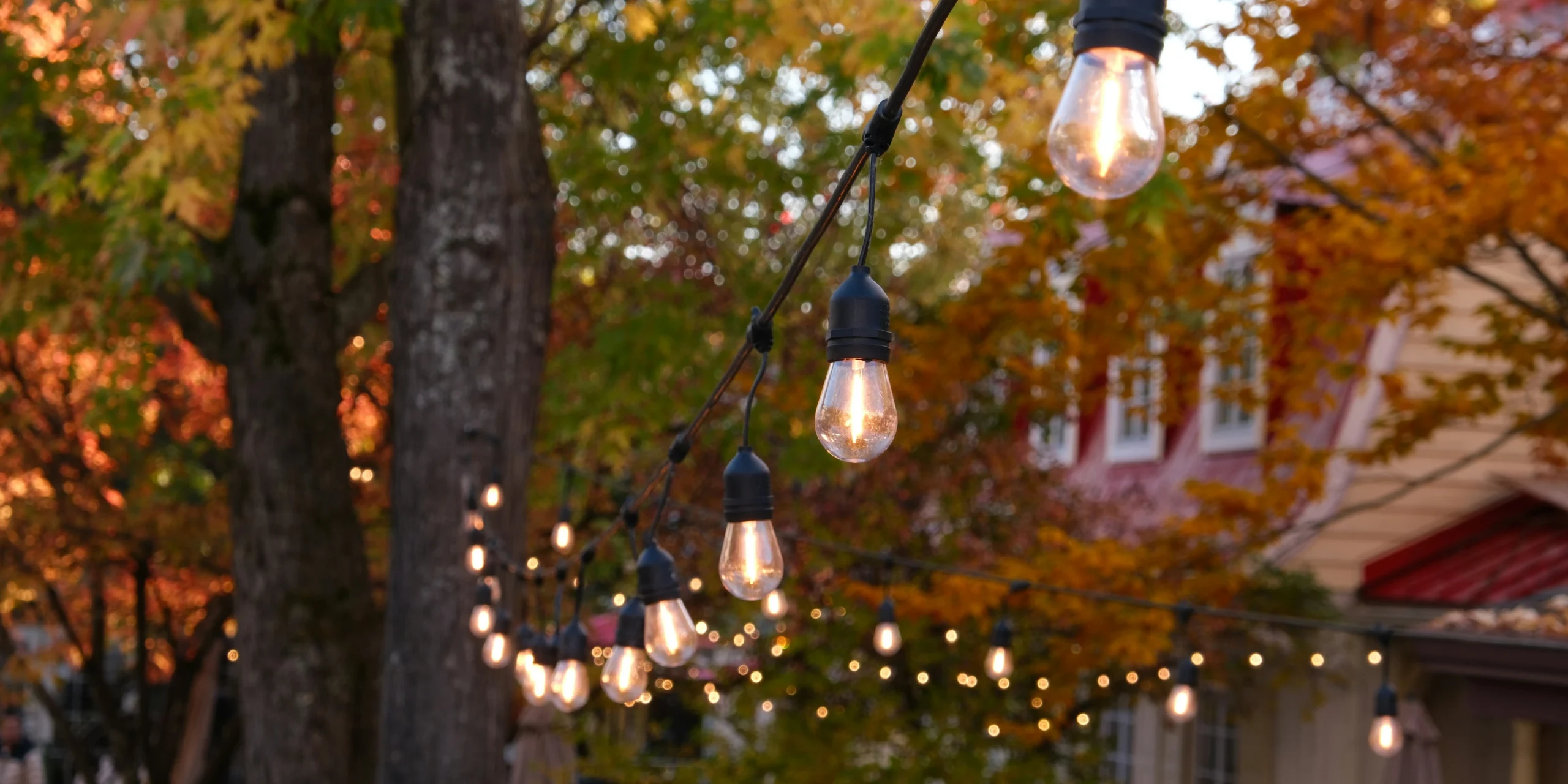 Outdoor Lights