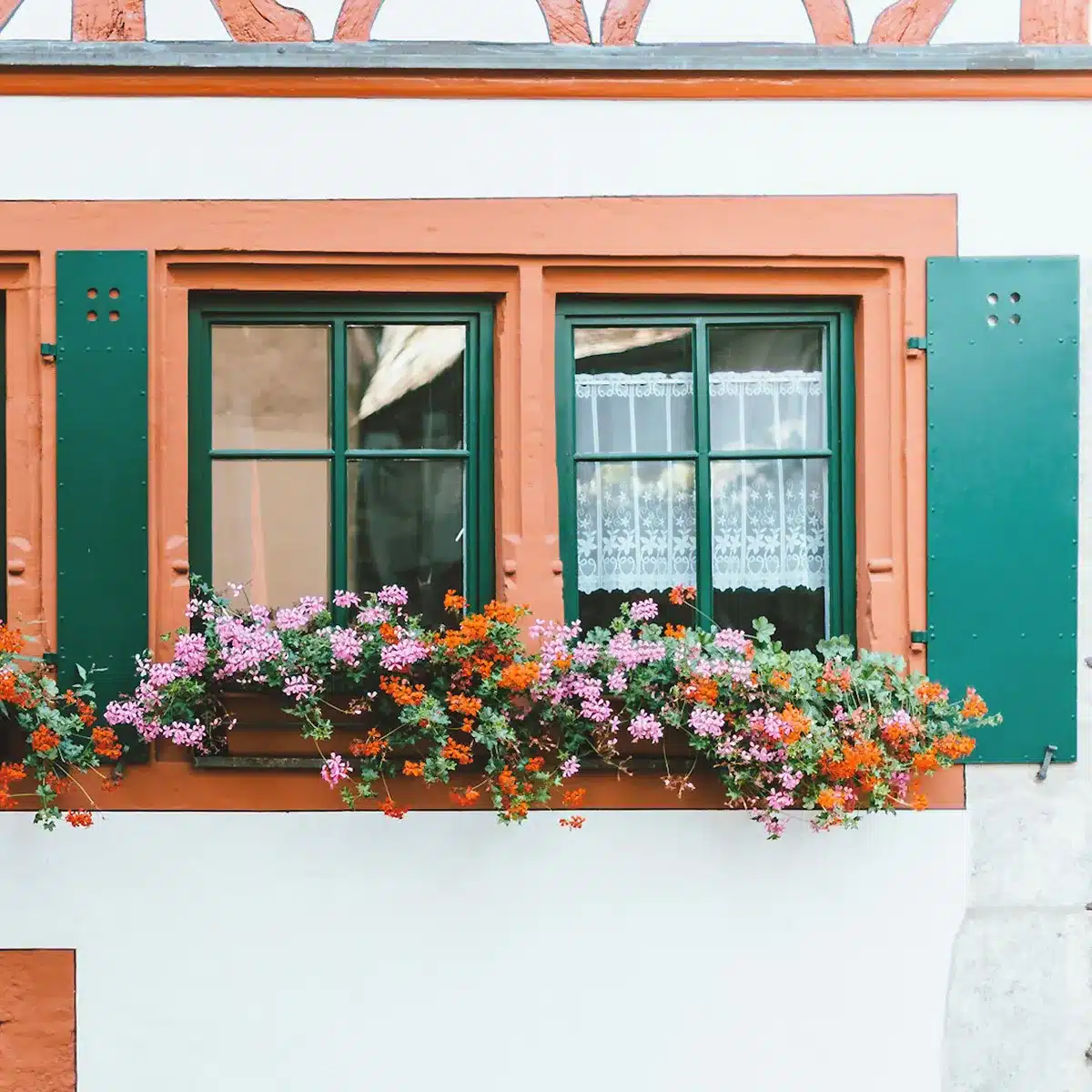 Making a Winter Window Box
