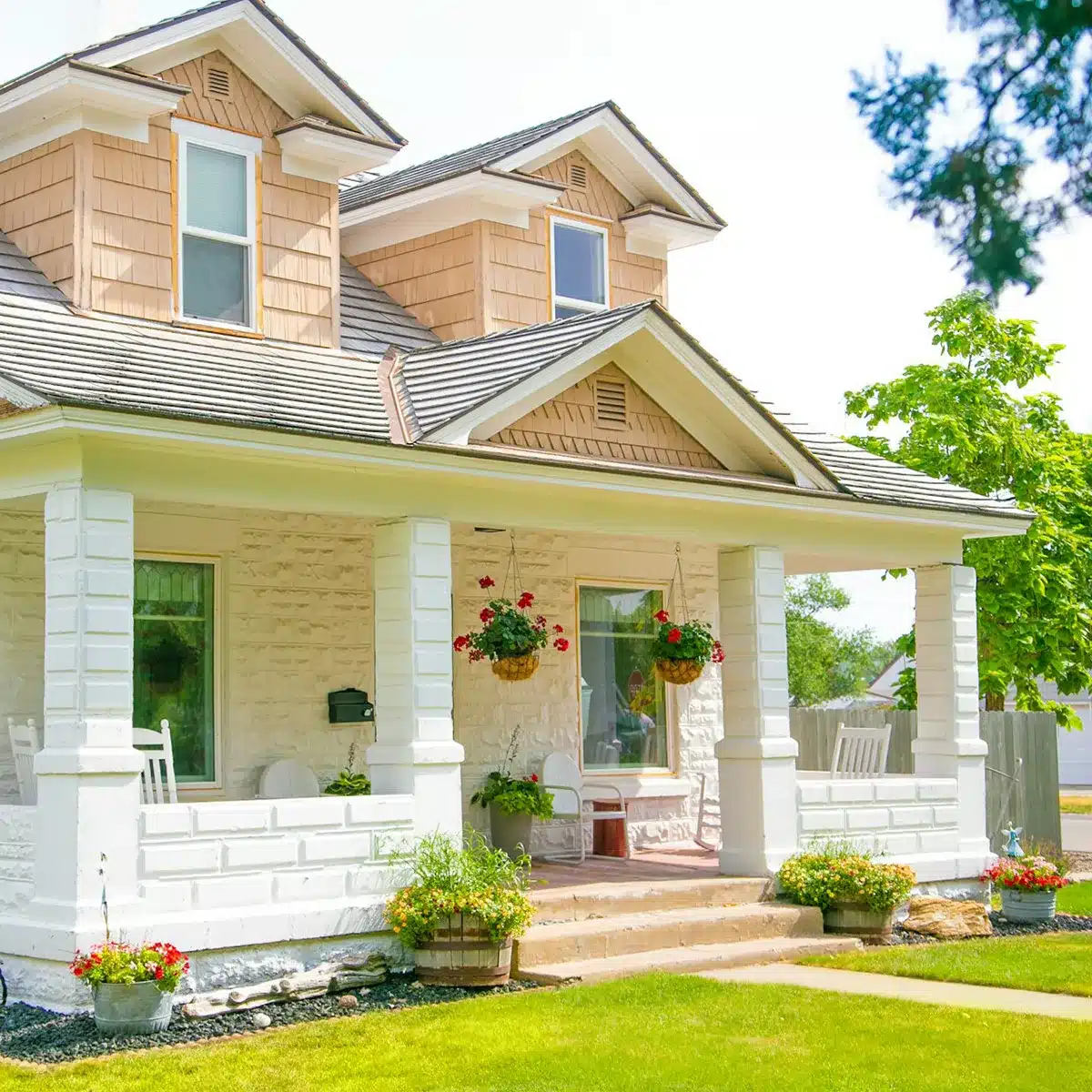 Placing Evergreen Trees