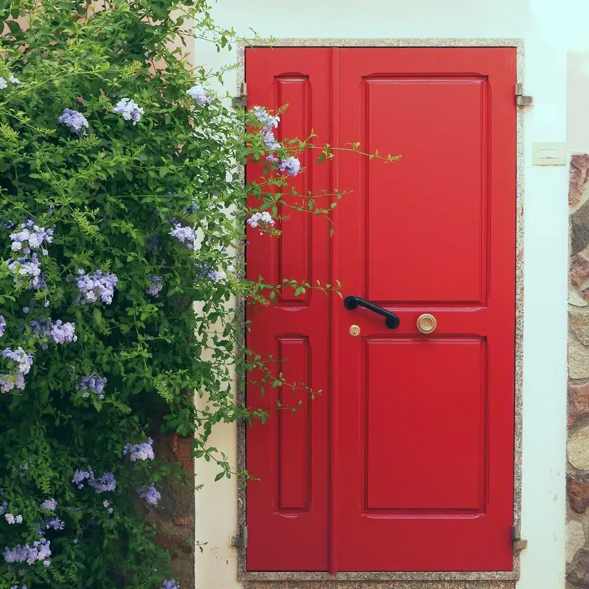 Repainting the Front Door