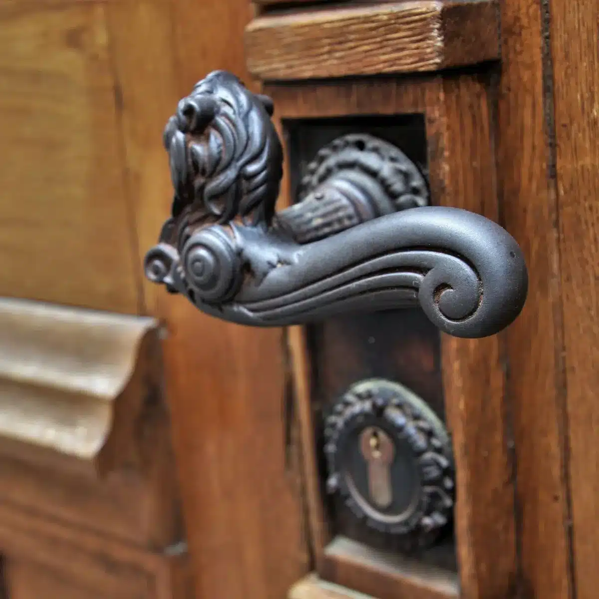 Replace The Door Handle
