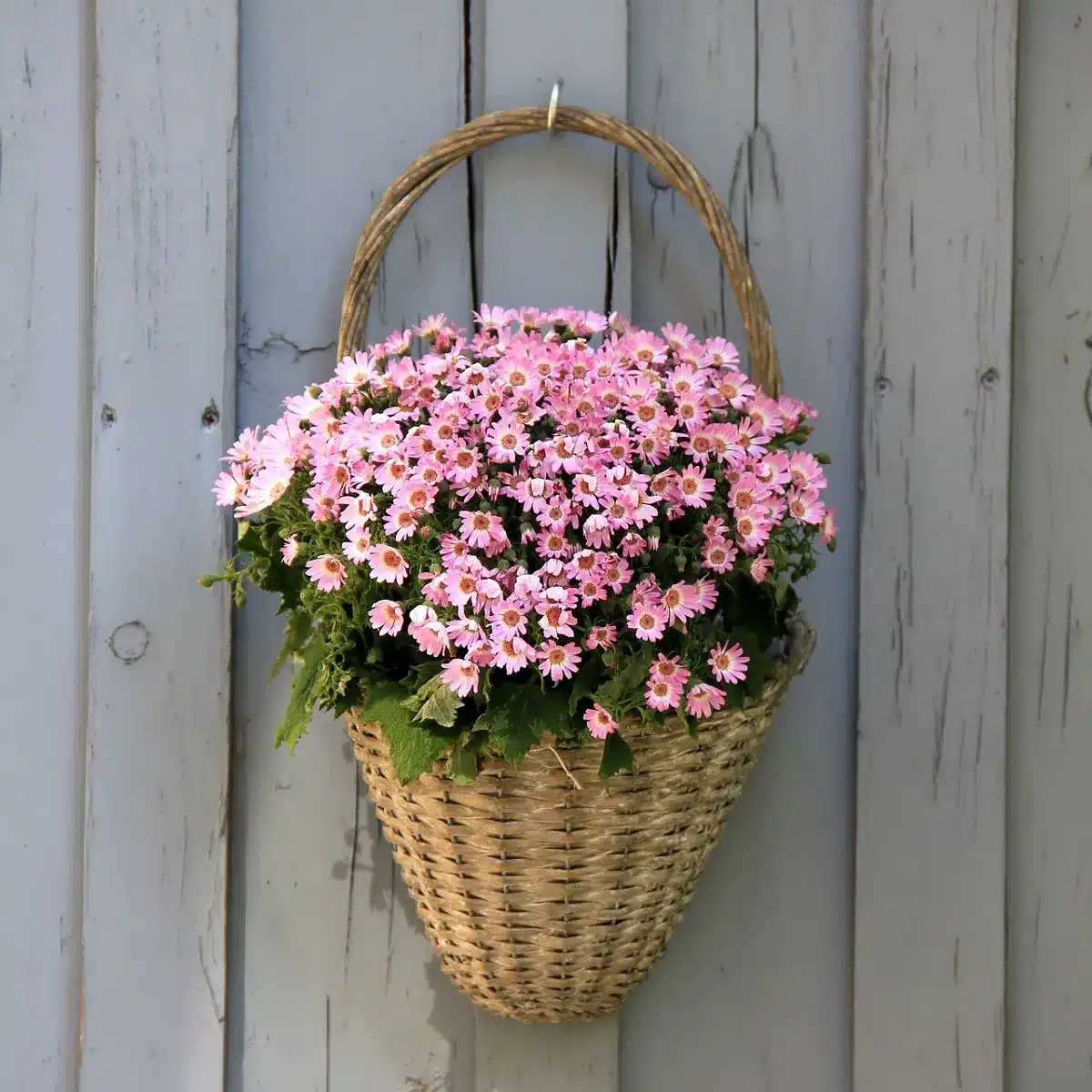 Use a Woven Basket