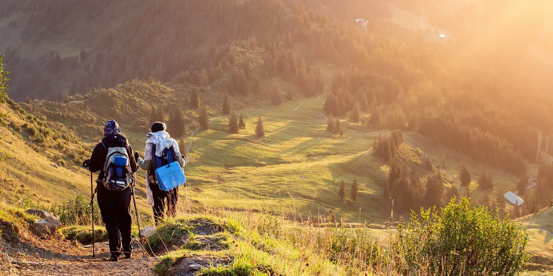 Walking or Hiking