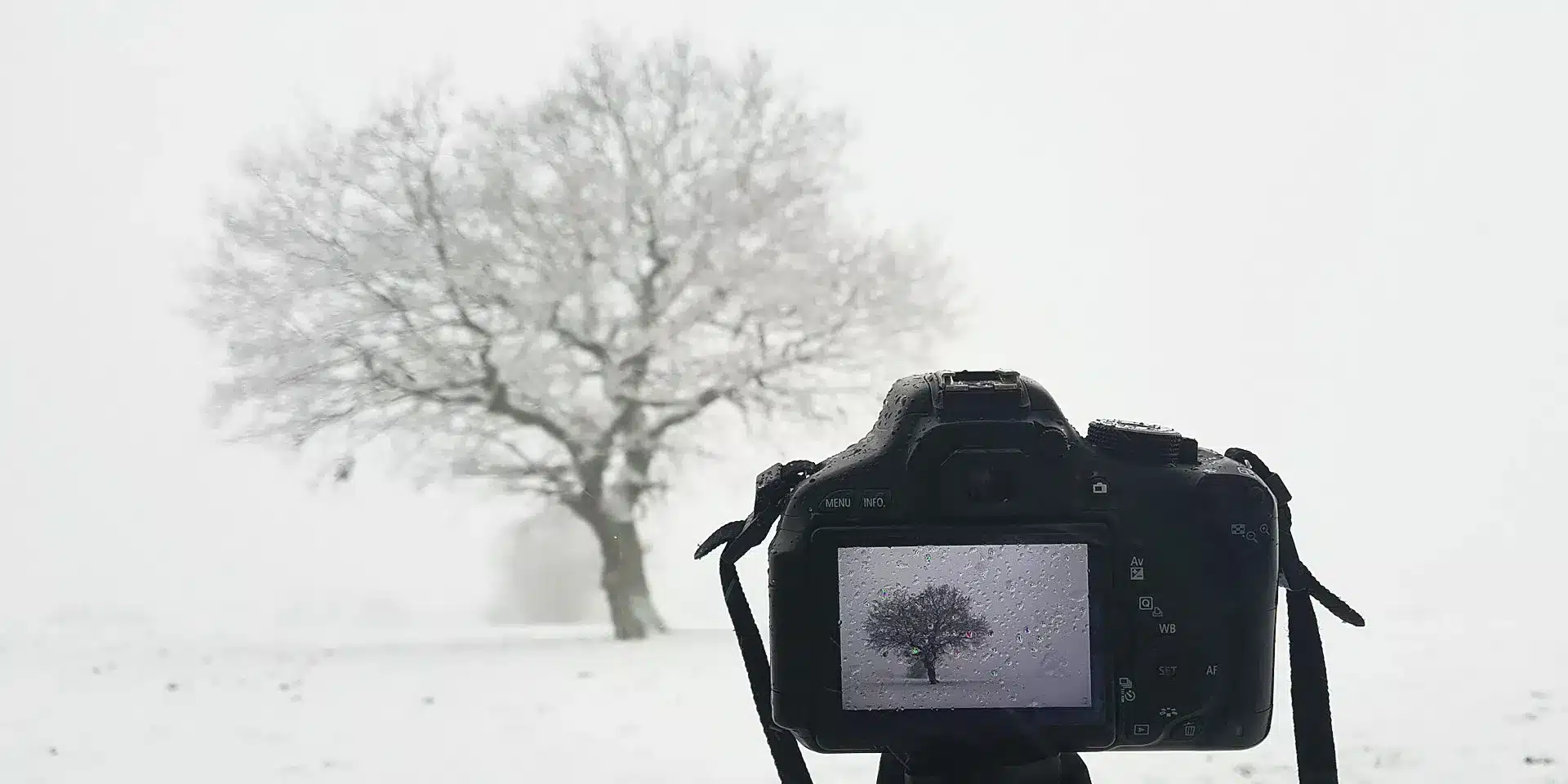 Winter Photography