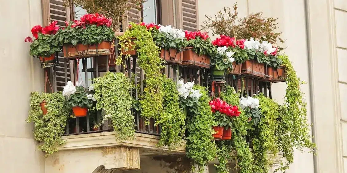 Waterfall Flowers