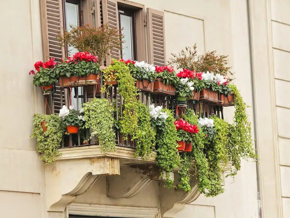 Waterfall Flowers