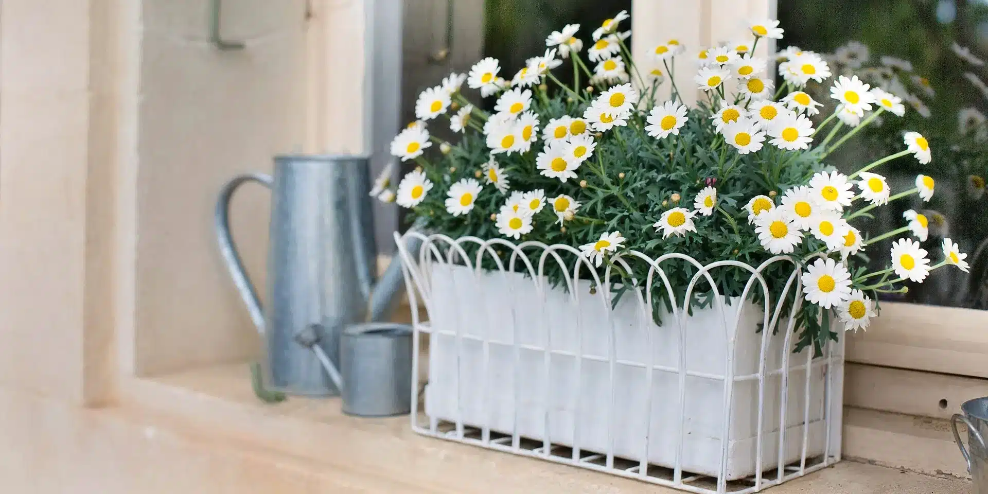 flowerbox