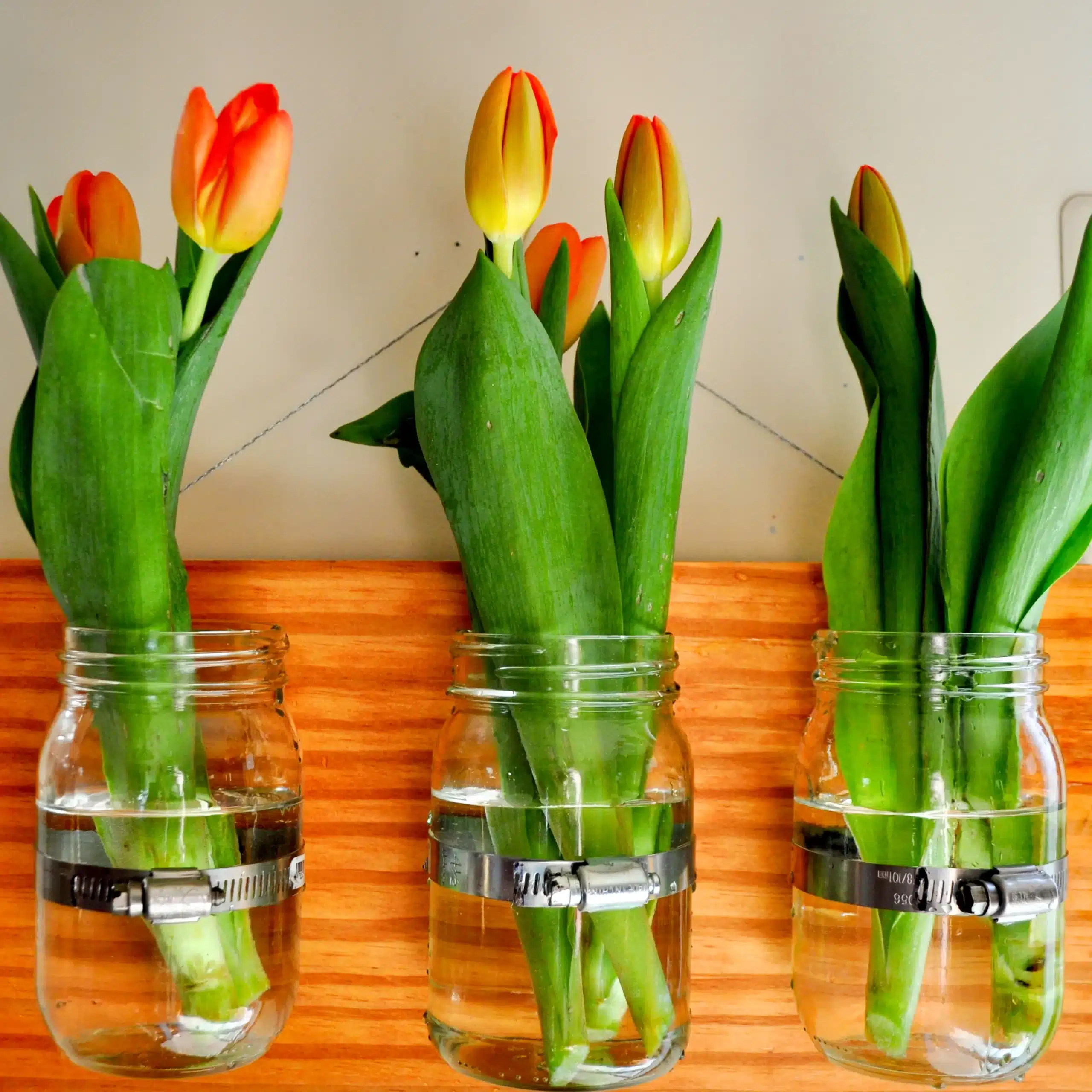 Mason Jar Planter