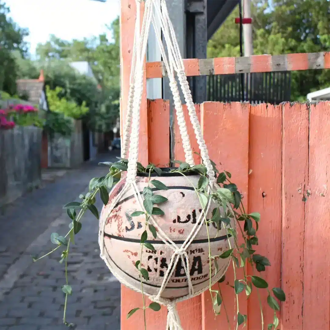 basketball planter
