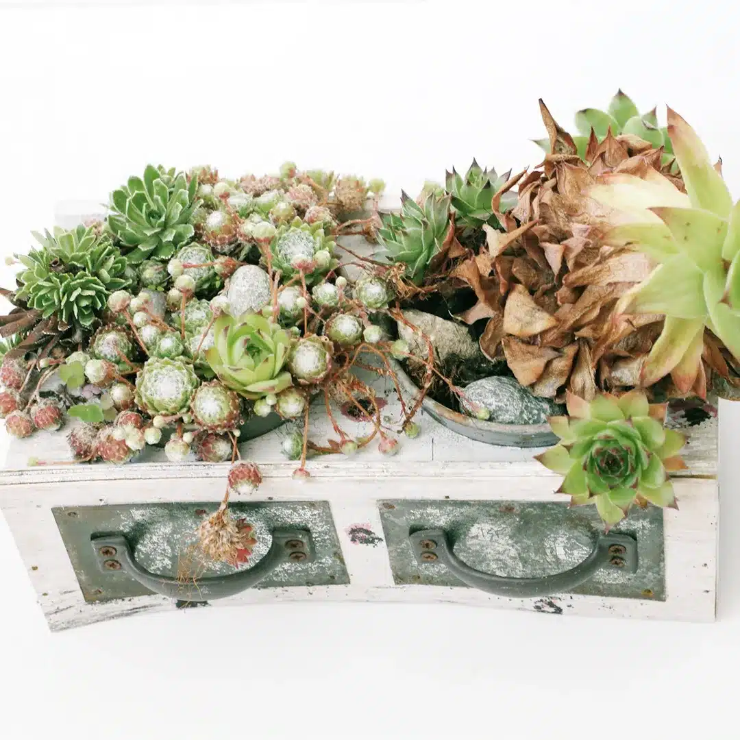 drawer planter drawer planter