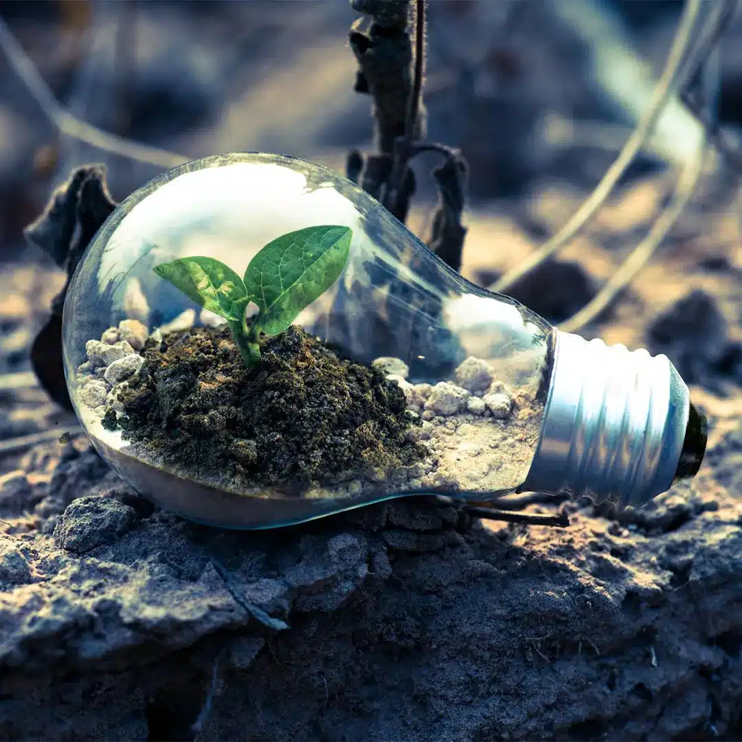 light bulb planter light bulb planter