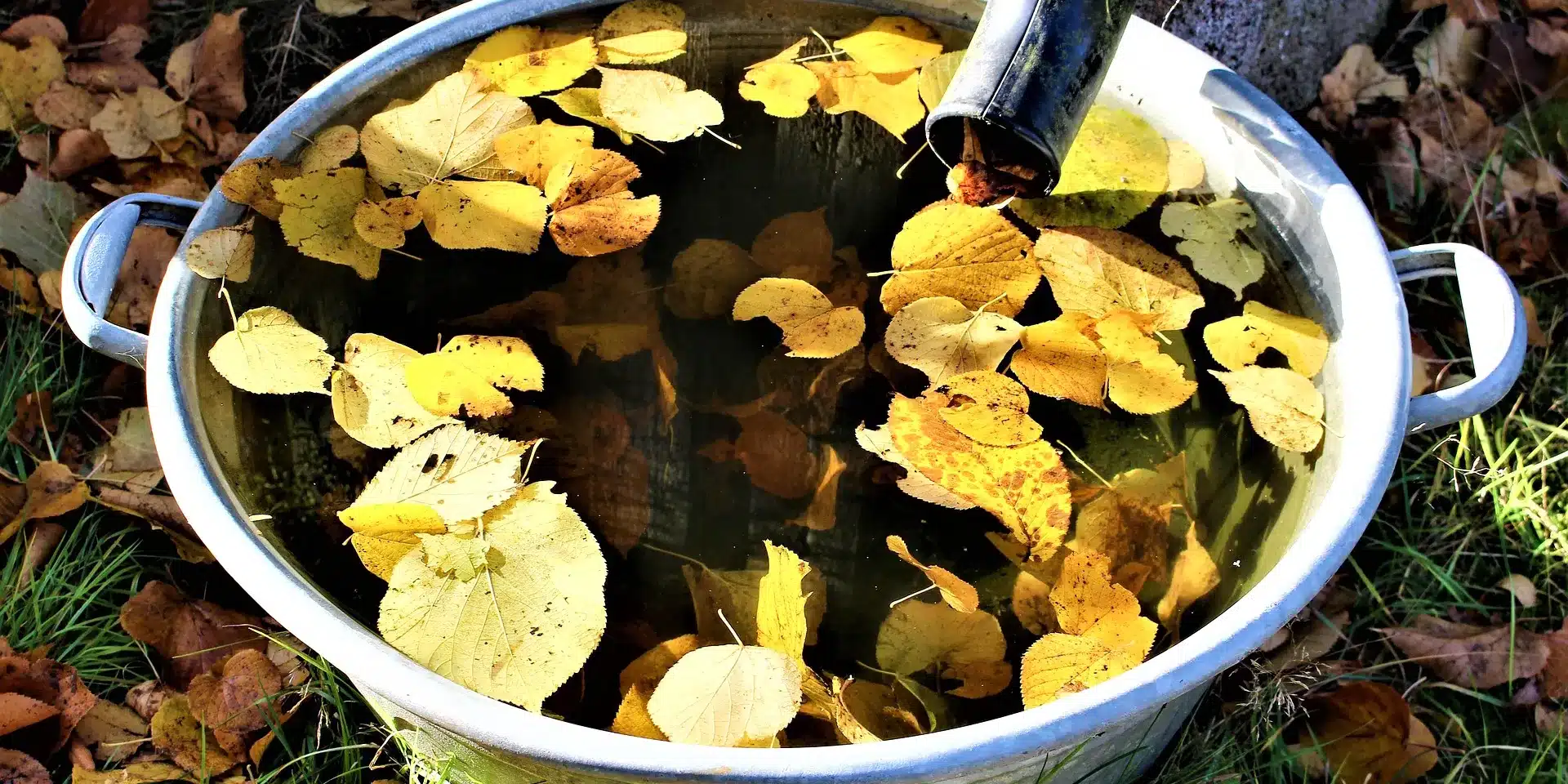 Make Water Saving Devices