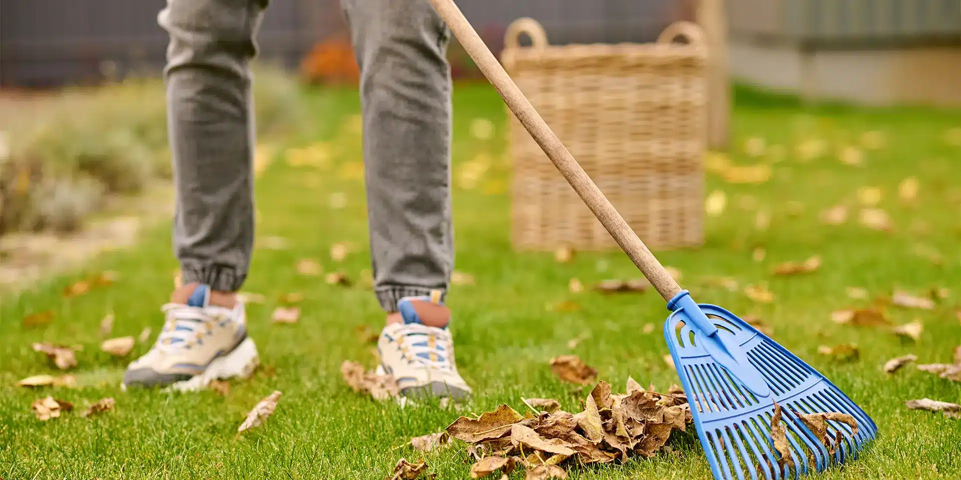 spring clean up