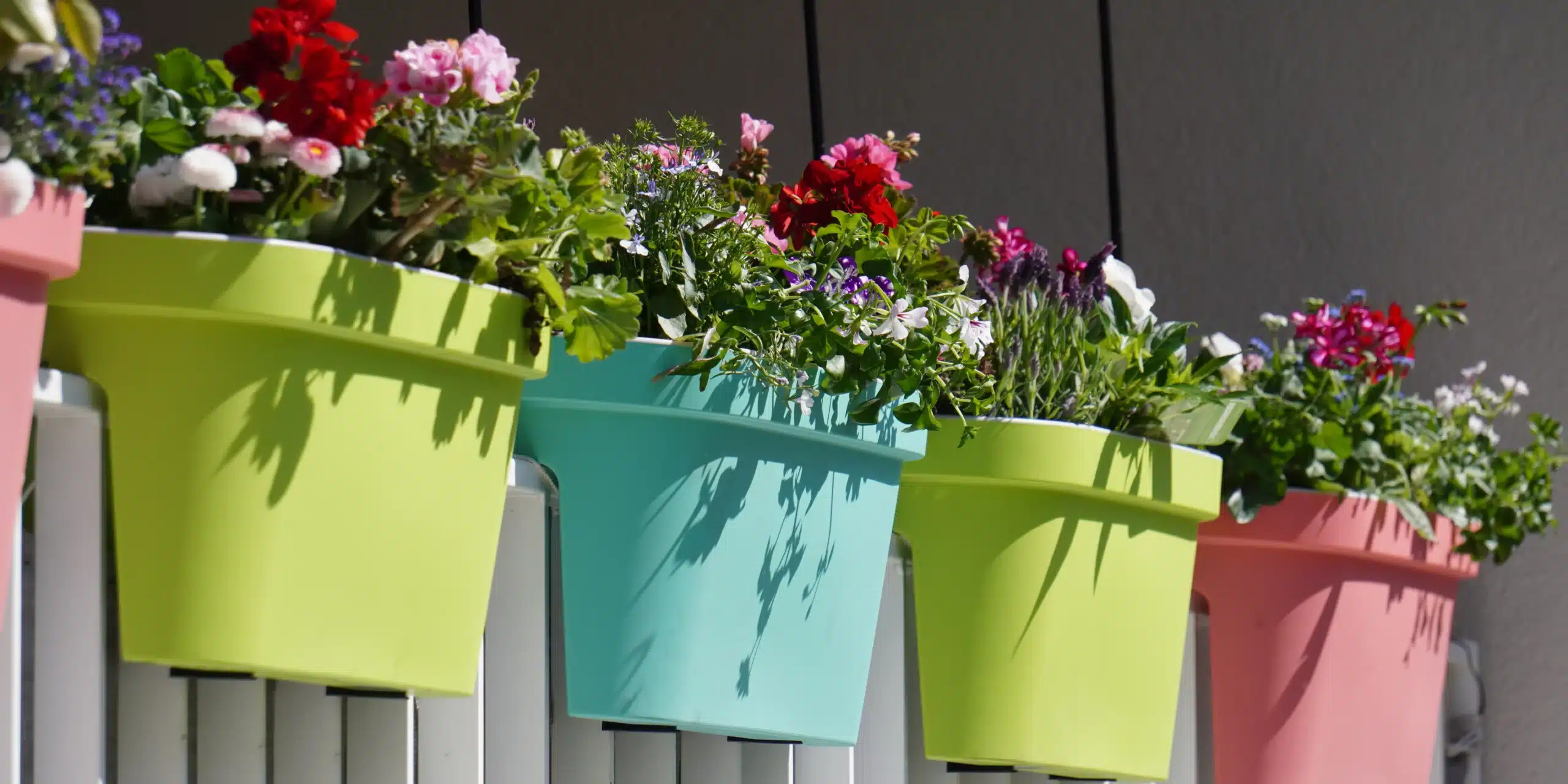 hang planters hang planters