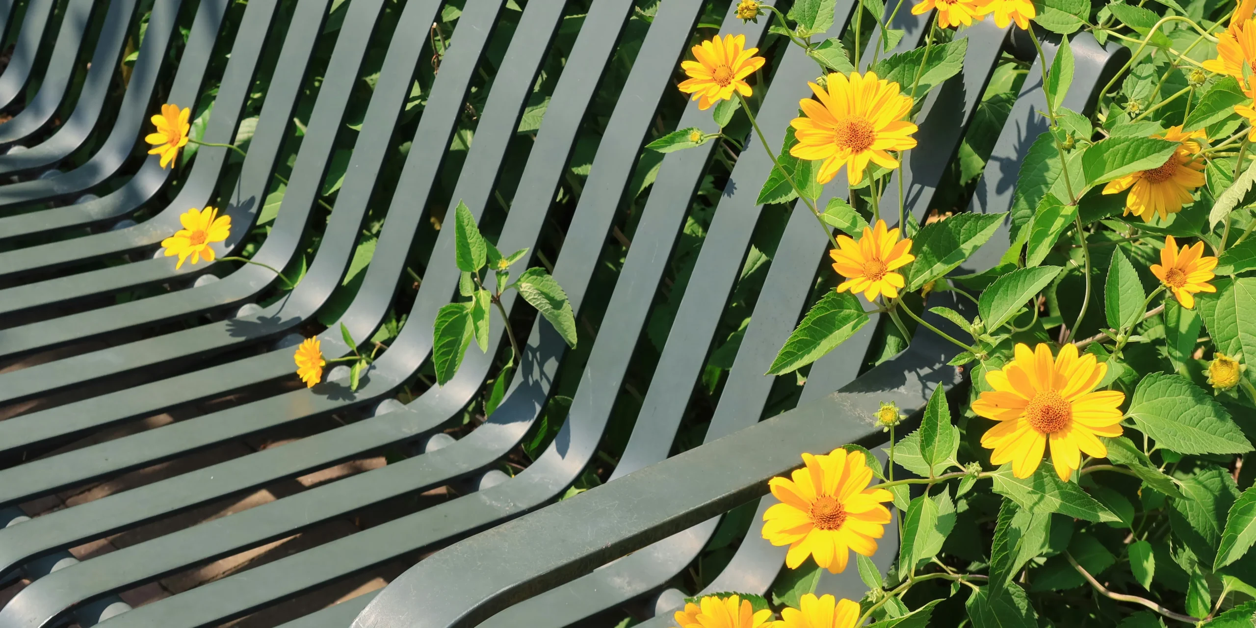 surround the bench with a flower wall Surround the Bench with a Flower Wall