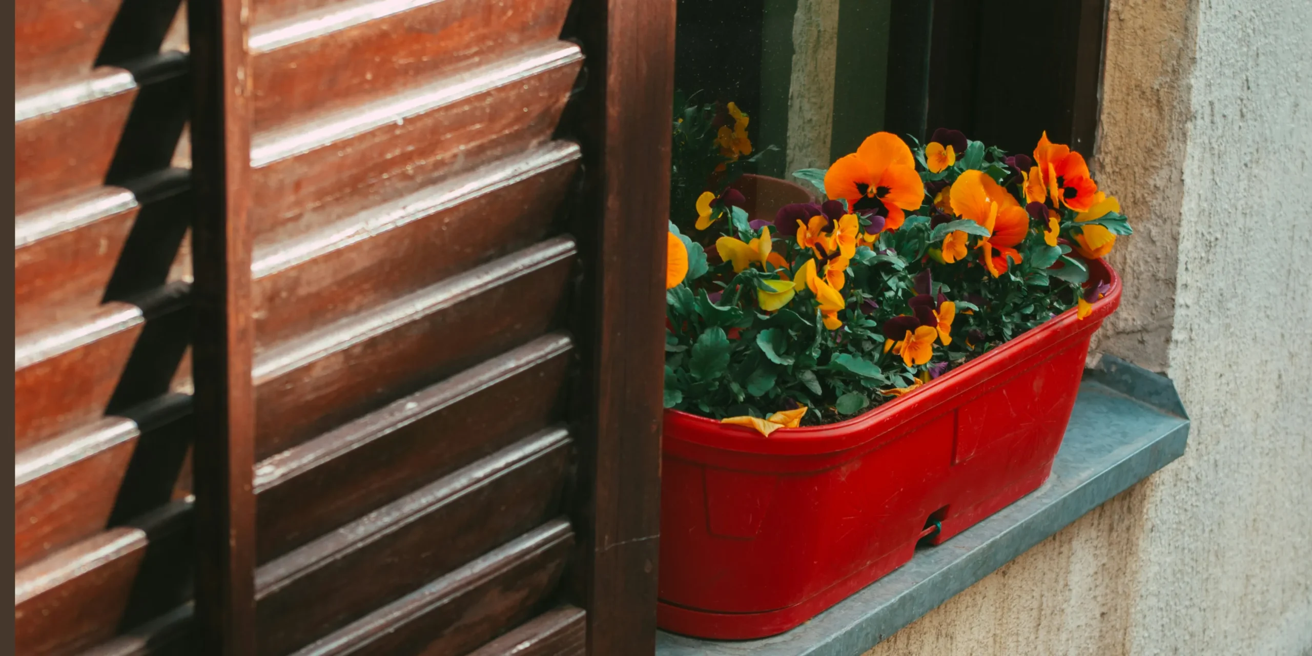 window flower box Window Flower Box