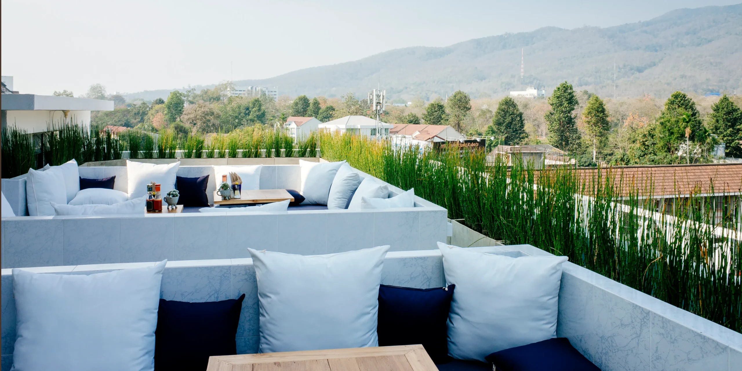 Privacy Screen scaled