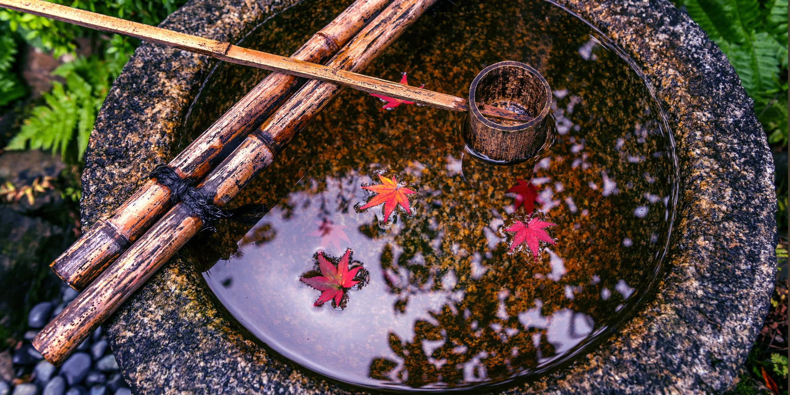 backyard water feature