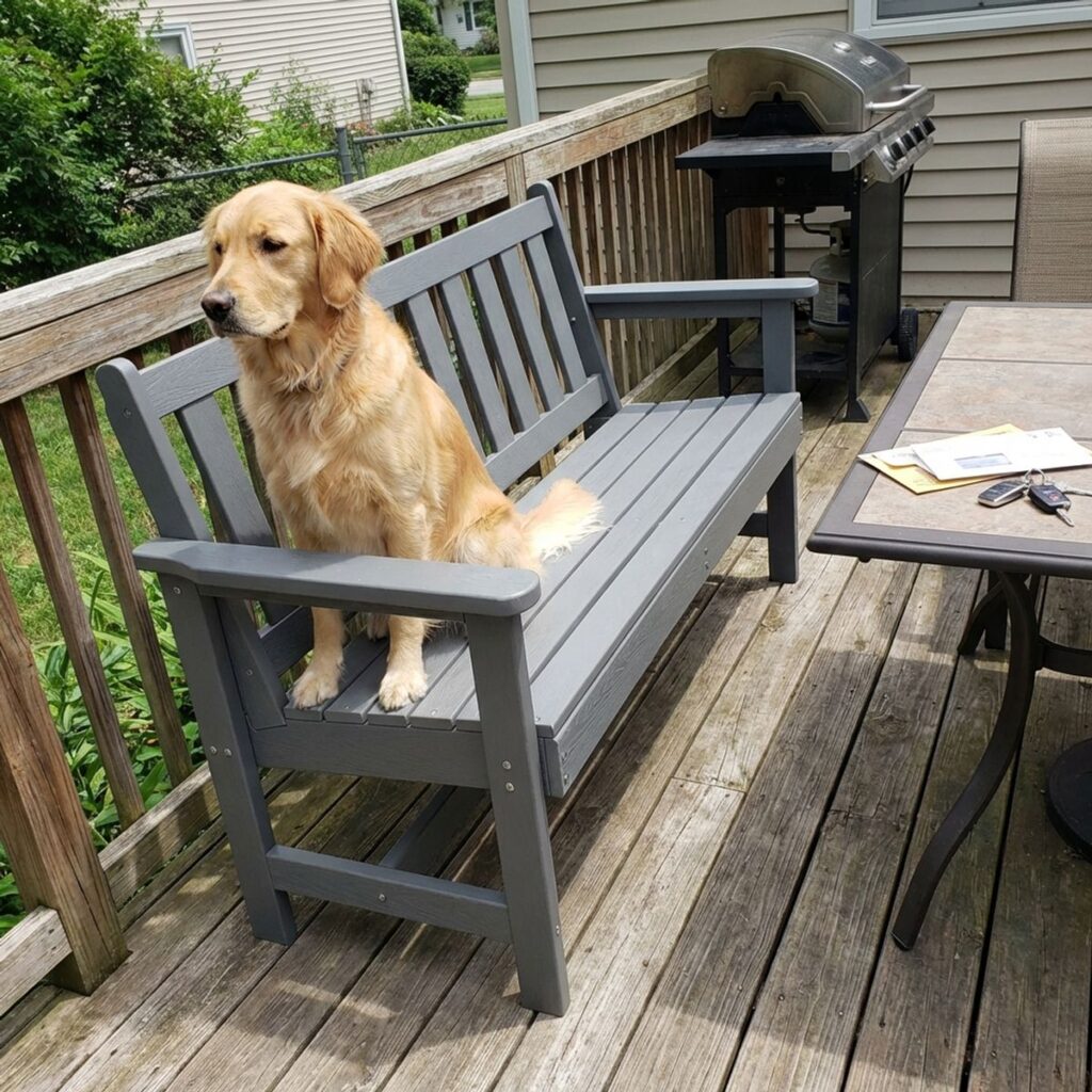 Image #1 from Nola S.