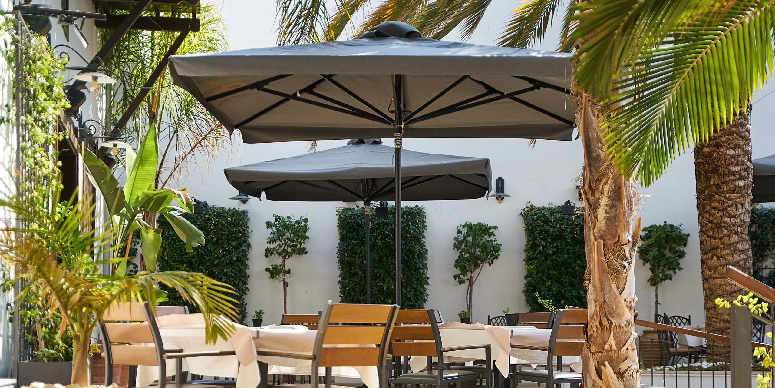 patio deck umbrella