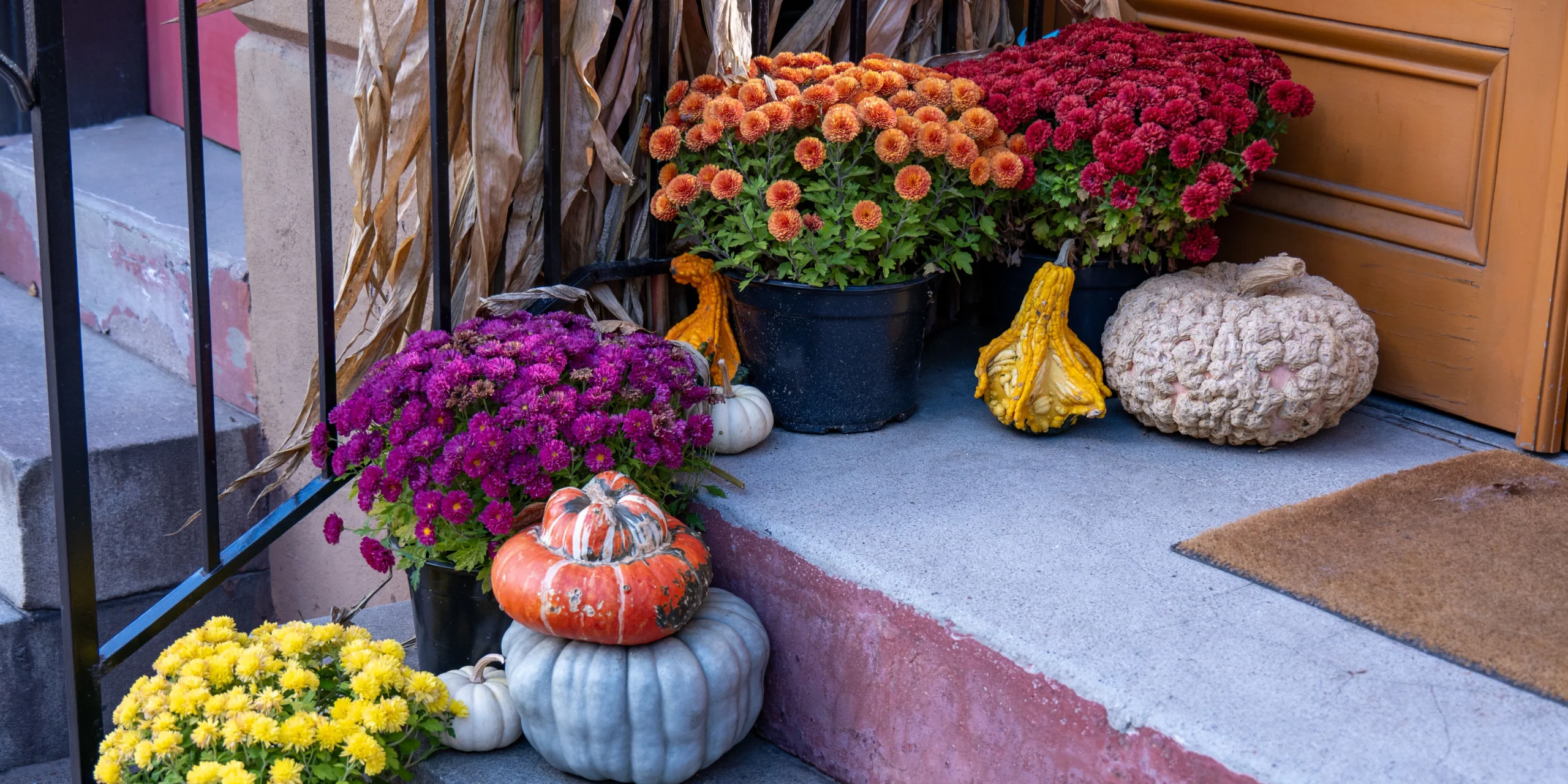 Brighten Up the Porch with Autumn Blooms